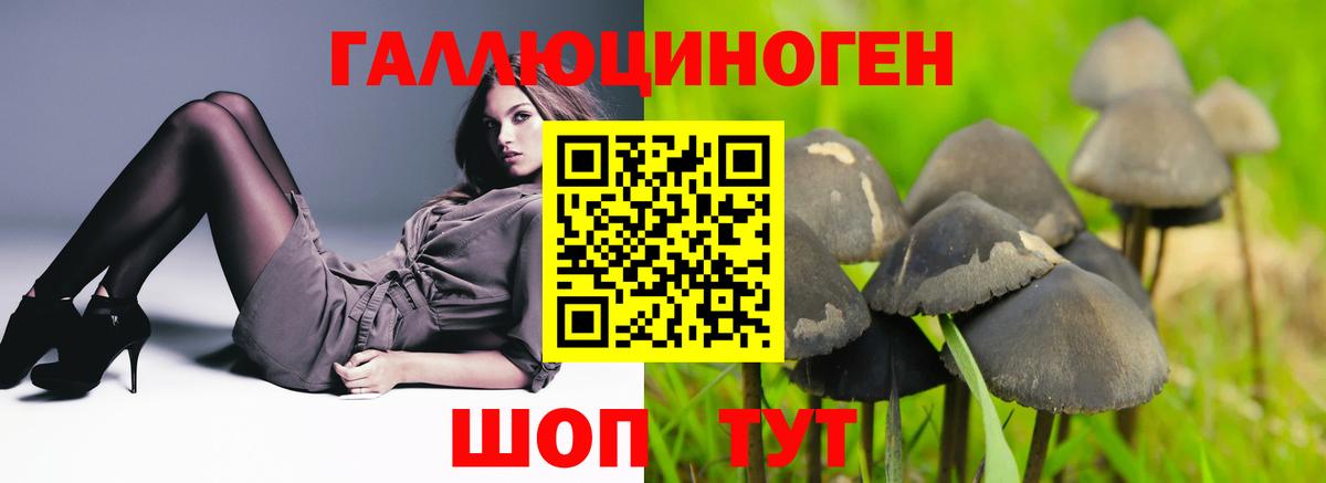 Можайск  Псилоцибиновые грибы прущие грибы  Вход с VPN  Псилоцибиновые грибы Psilocybe 
